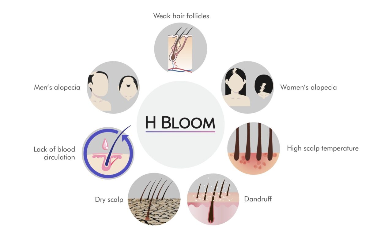 H Bloom 2 syringes/1ml - Image 3